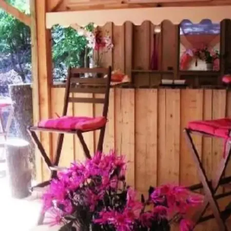 Cap Ferret Grand Bois * Lège-Cap-Ferret