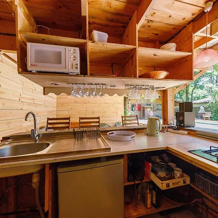 Cap Ferret Grand Bois 木屋 *